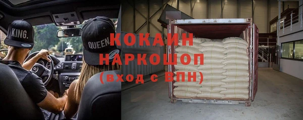 гидра Горно-Алтайск