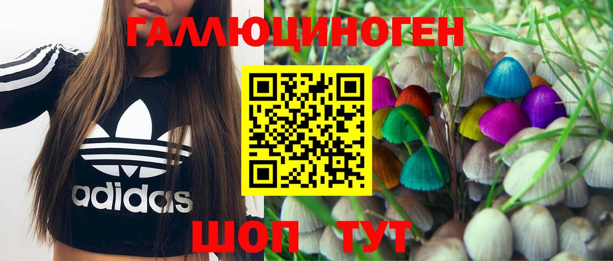 Псилоцибиновые грибы прущие грибы  Псилоцибиновые грибы мицелий  Обь  Вход с VPN 